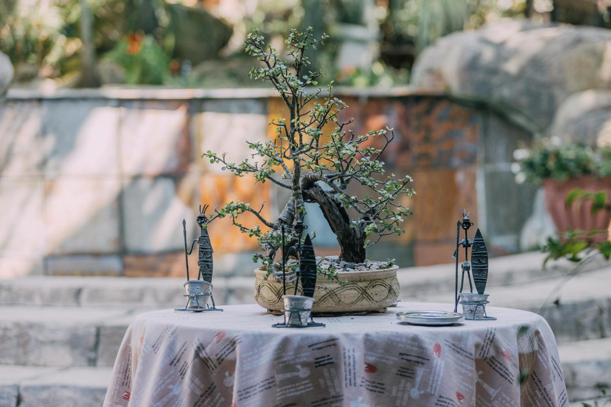 Beetleloop Guest House نيلسبروت المظهر الخارجي الصورة